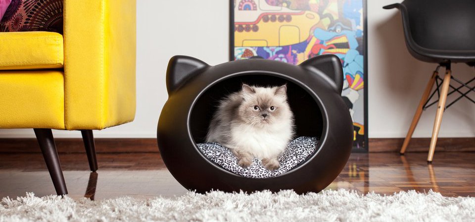 Где купить 10 очаровательных кошачьих домиков: обзор с ценами и адресами магазинов