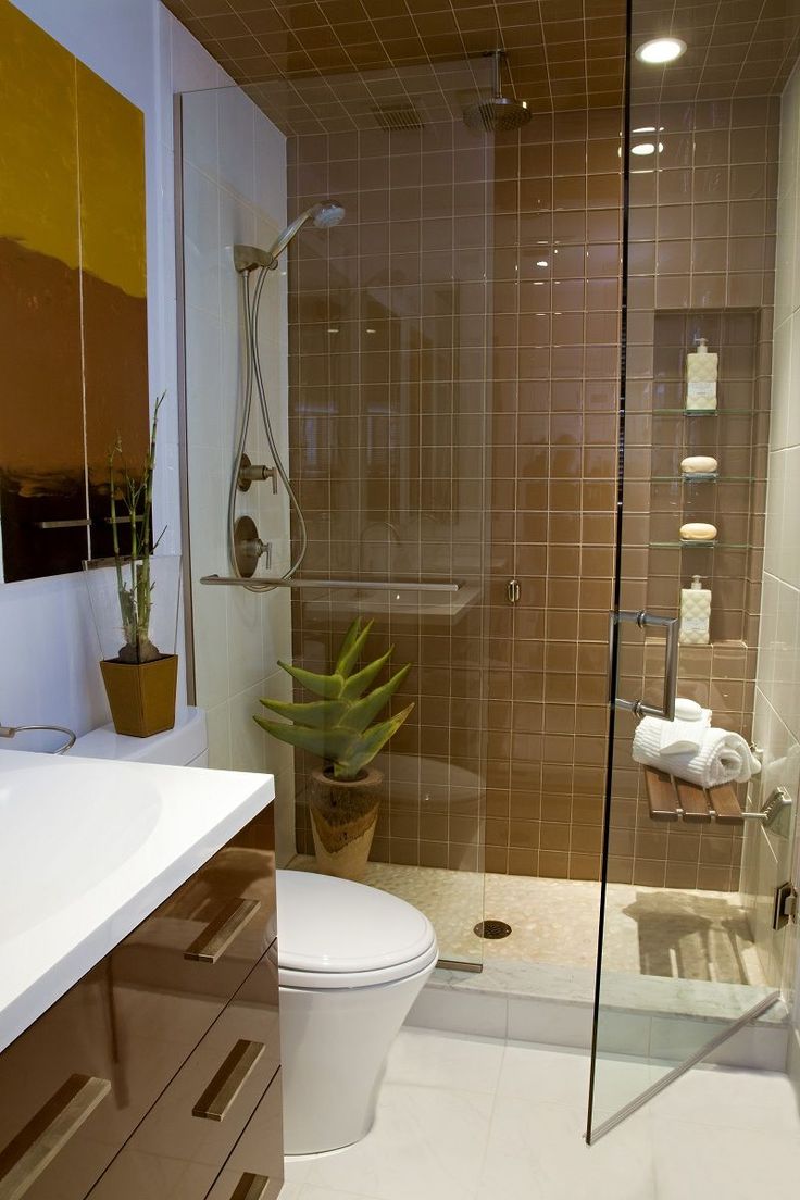 Дизайн ванной с душевой и туалетом в квартире (70 фото)