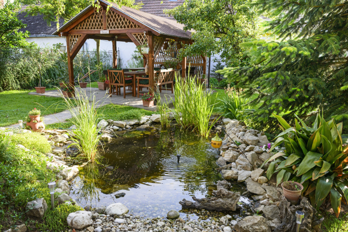 Фонтан, дачный пруд или декоративный ручей: как украсить сад — Roomble.com