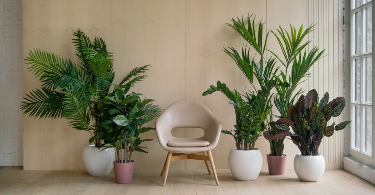Флористические тренды — 2022: 9 комнатных растений, захватывающих наши интерьеры